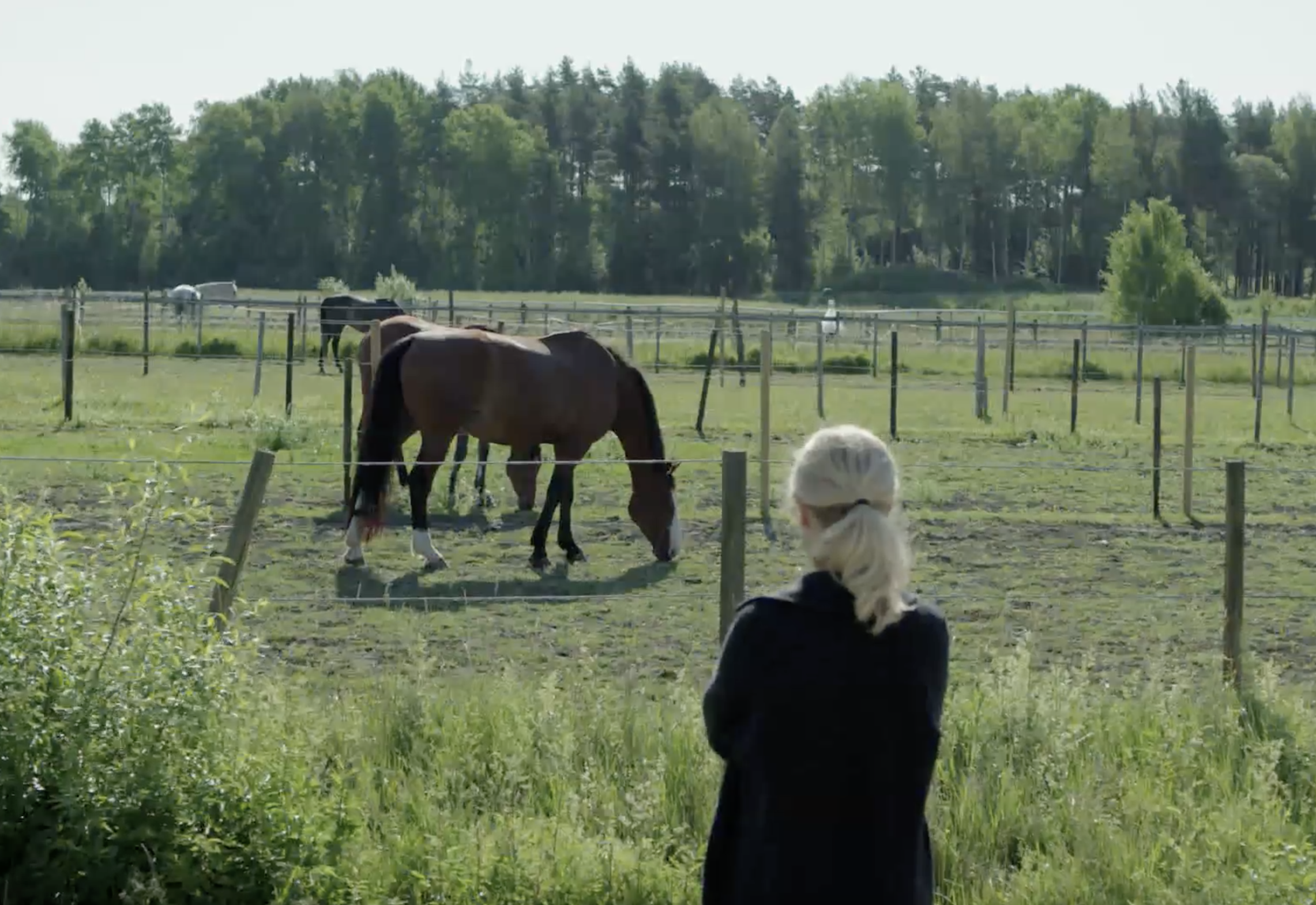 Sandra's Pledge — the world